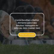 Como Escolher o Melhor Alimento para Cães Adultos: Vantagens do SPECIAL DOG CARNE 15KG
