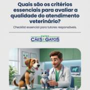 Quais são os critérios essenciais para avaliar a qualidade do atendimento veterinário?