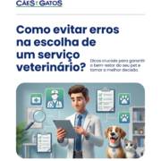 Como evitar erros na escolha de um serviço veterinário?