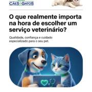 O que realmente importa na hora de escolher um serviço veterinário?