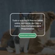 Tudo o que Você Precisa Saber sobre Vacinação de Cães e Gatos: Guia Completo para Proprietários