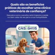 Quais são os benefícios práticos de escolher uma clínica veterinária de confiança?