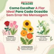 Como Escolher A Flor Ideal Para Cada Ocasião Sem Errar Na Mensagem