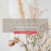 Floricultura Raghi - Beleza e Sofisticação em Flores para Todas as Ocasiões