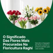 O Significado Das Flores Mais Procuradas Na Floricultura Raghi
