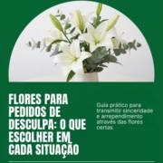Flores Para Pedidos De Desculpa: O Que Escolher Em Cada Situação
