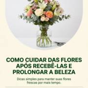 Como Cuidar Das Flores Após Recebê-las E Prolongar A Beleza