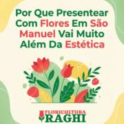 Por Que Presentear Com Flores Em São Manuel Vai Muito Além Da Estética