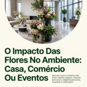 O Impacto Das Flores No Ambiente: Casa, Comércio Ou Eventos