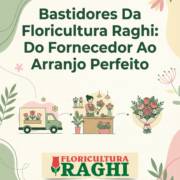 Bastidores Da Floricultura Raghi: Do Fornecedor Ao Arranjo Perfeito