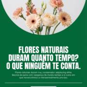 Flores Naturais Duram Quanto Tempo? O Que Ninguém Te Conta