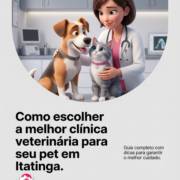 Como escolher a melhor clínica veterinária para seu pet em Itatinga