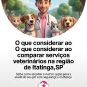 O que considerar ao comparar serviços veterinários na região de Itatinga, SP