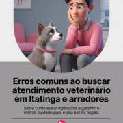 Erros comuns ao buscar atendimento veterinário em Itatinga e arredores