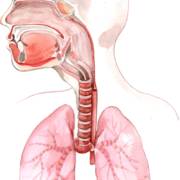 Fisioterapia Respiratória em Jaú: cuidado para respirar melhor