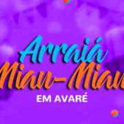 Arraiá Miau-Miau em Avaré