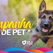 Campanha Mamãe Pet auxilia vários animais em Avaré