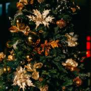 Campanha Natal Sustentável
