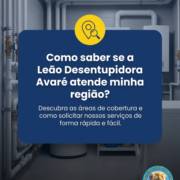 Como saber se a Leão Desentupidora Avaré atende minha região?
