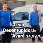 Leão desentupidora