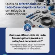 Quais os diferenciais da Leão Desentupidora Avaré em relação à concorrência?