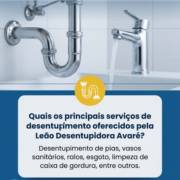 Quais os principais serviços de desentupimento oferecidos pela Leão Desentupidora Avaré?
