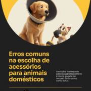 Erros comuns na escolha de acessórios para animais domésticos
