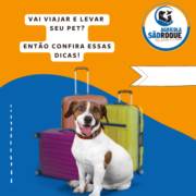 Vai viajar e levar seu pet junto? Então confira essas dicas!