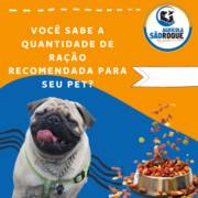 Você sabe qual a quantidade ideal de ração para dar para o seu pet?