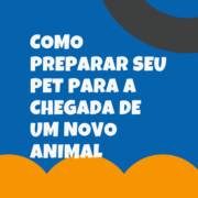 Como Preparar Seu Pet para a Chegada de um Novo Animal: Dicas de Cuidados e Alimentação em Itapetininga