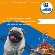 Ração para pets: como escolher a ideal para cada fase da vida do seu animal