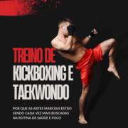 Treino de Kickboxing e Taekwondo: Por Que as Artes Marciais Estão Sendo Cada Vez Mais Buscadas na Rotina de Saúde e Foco