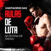 Vantagens das Aulas de Luta na rotina de treino