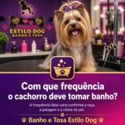 Com que frequência o cachorro deve tomar banho?