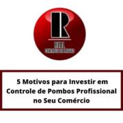 5 Motivos para Investir em Controle de Pombos Profissional no Seu Comércio