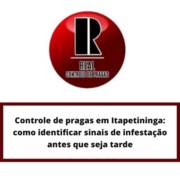 Controle de pragas em Itapetininga: como identificar sinais de infestação antes que seja tarde