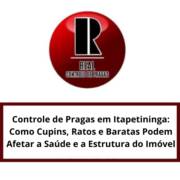 Controle de Pragas em Itapetininga: Como Cupins, Ratos e Baratas Podem Afetar a Saúde e a Estrutura do Imóvel