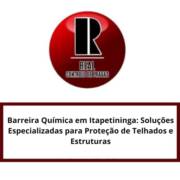Barreira Química em Itapetininga: Soluções Especializadas para Repelência de Pombos e Cupins