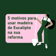 5 motivos para usar madeira de Eucalipto na sua reforma