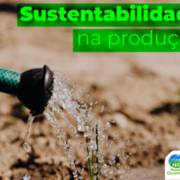 Sustentabilidade na produção