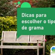 Dicas para escolher o tipo de grama