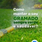 Como manter o gramado sempre verde e saudável?