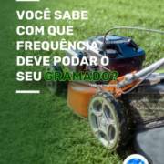 Você sabe com qual frequência deve podar o seu gramado?