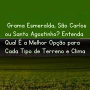 Grama Esmeralda, São Carlos ou Santo Agostinho? Entenda Qual É a Melhor Opção para Cada Tipo de Terreno e Clima