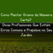 Como Plantar Grama da Maneira Certa? Dicas Profissionais Que Evitam Erros Comuns e Prejuízos no Seu Jardim