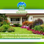 Como o Clima de Itapetininga Influencia no Crescimento e na Manutenção da Grama