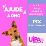 Ajude nossa ONG aqui o Amor levado a sério !