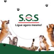 S.O.S ANIMAL, LIGUE JÁ!