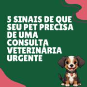 5 sinais de que seu pet precisa de uma consulta veterinária urgente