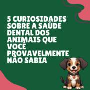 5 curiosidades sobre a saúde dental dos animais que você provavelmente não sabia